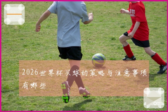 2026世界杯买球的策略与注意事项有哪些