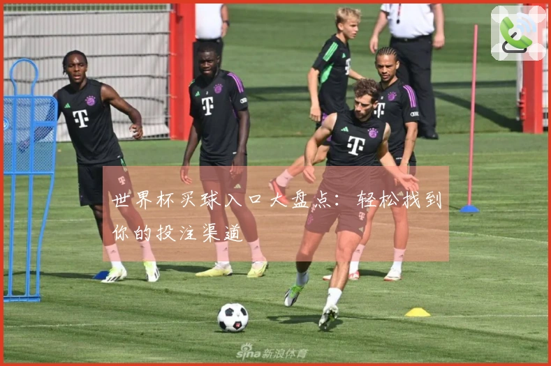 世界杯买球入口大盘点：轻松找到你的投注渠道