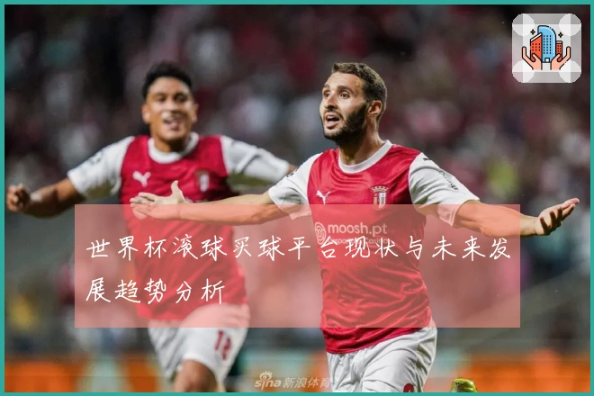 世界杯滚球买球平台现状与未来发展趋势分析