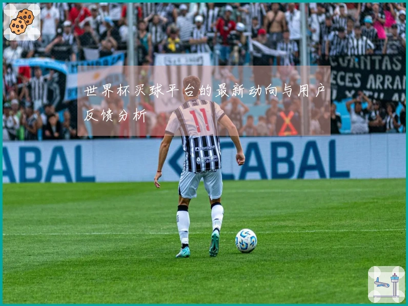 世界杯买球平台的最新动向与用户反馈分析