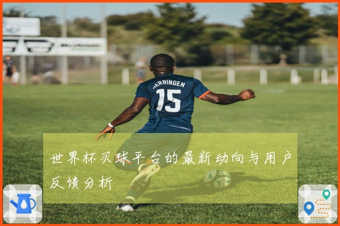 世界杯买球平台的最新动向与用户反馈分析