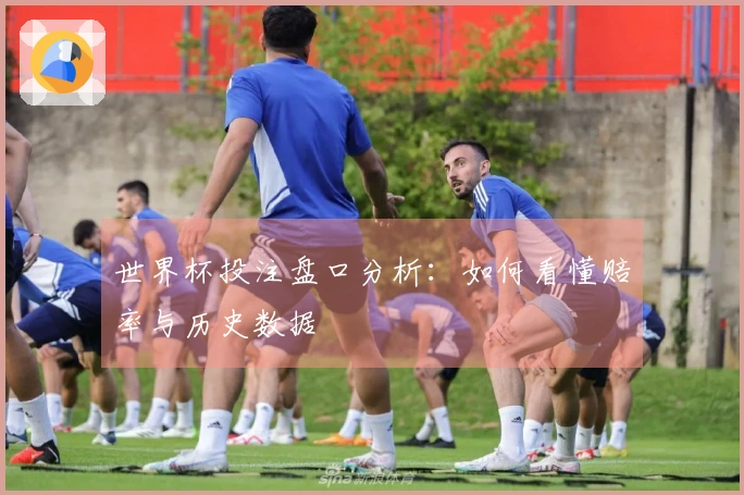世界杯投注盘口分析：如何看懂赔率与历史数据