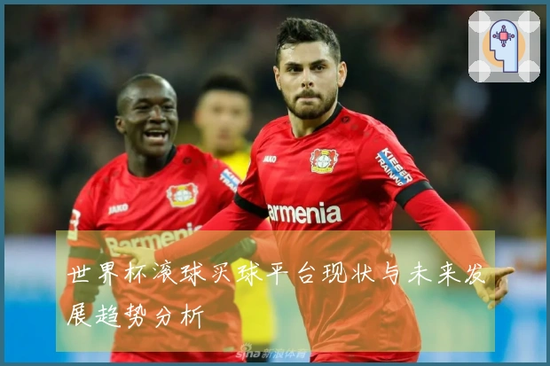 世界杯滚球买球平台现状与未来发展趋势分析