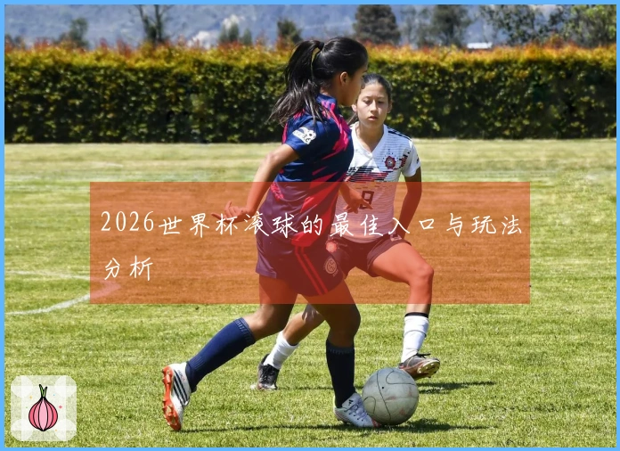 2026世界杯滚球的最佳入口与玩法分析