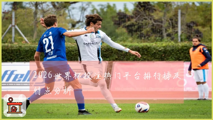 2026世界杯投注热门平台排行榜及特点分析