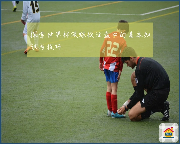探索世界杯滚球投注盘口的基本知识与技巧