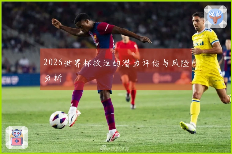 2026世界杯投注的潜力评估与风险分析