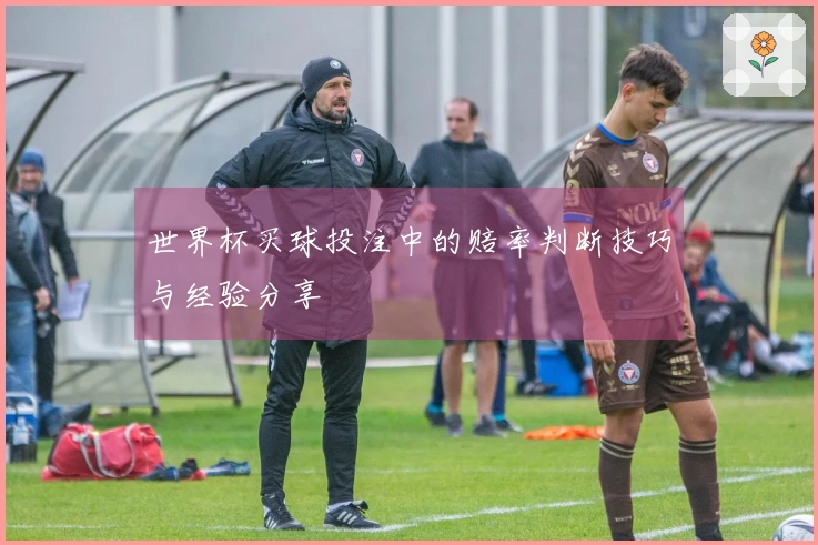 世界杯买球投注中的赔率判断技巧与经验分享