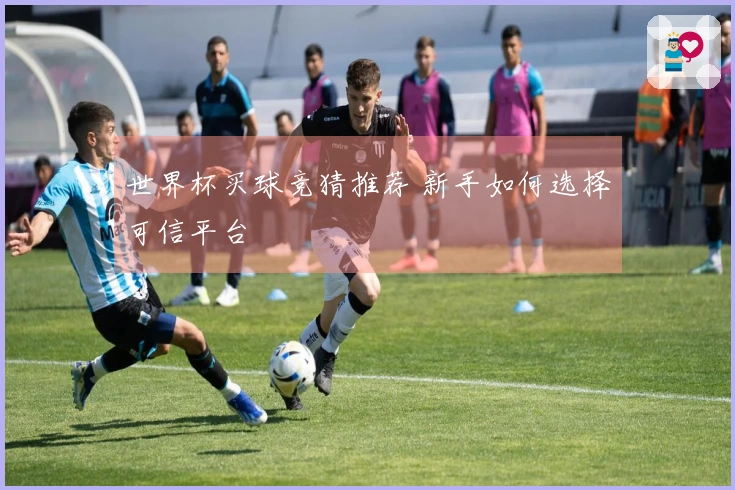 世界杯买球竞猜推荐 新手如何选择可信平台