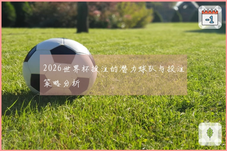 2026世界杯投注的潜力球队与投注策略分析