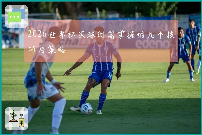 2026世界杯买球时需掌握的几个技巧与策略