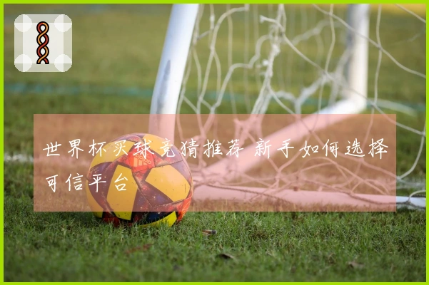 世界杯买球竞猜推荐 新手如何选择可信平台