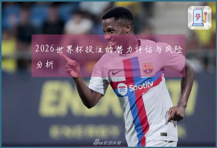 2026世界杯投注的潜力评估与风险分析