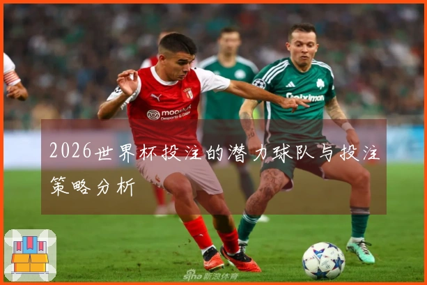 2026世界杯投注的潜力球队与投注策略分析