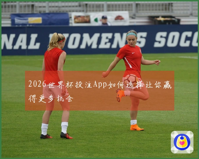 2026世界杯投注App如何选择让你赢得更多机会