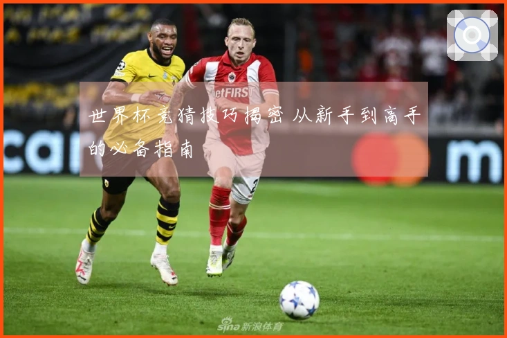 世界杯竞猜技巧揭密 从新手到高手的必备指南