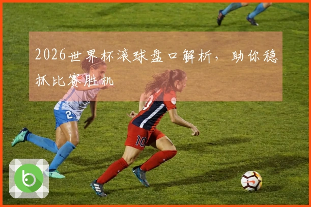 2026世界杯滚球盘口解析，助你稳抓比赛胜机