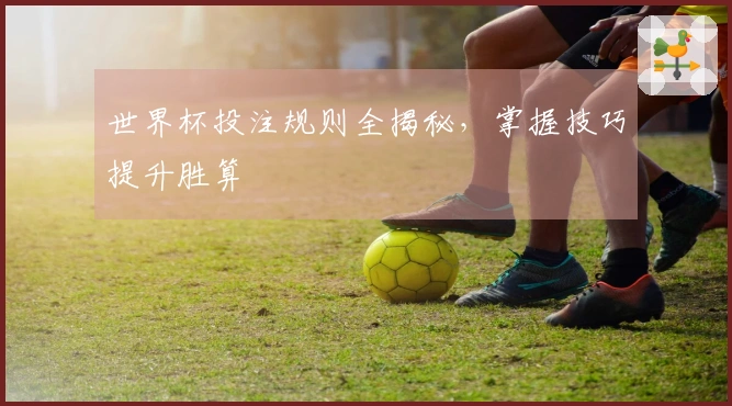 世界杯投注规则全揭秘，掌握技巧提升胜算