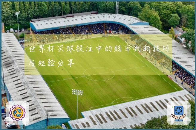世界杯买球投注中的赔率判断技巧与经验分享