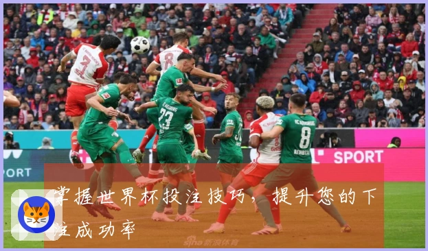 掌握世界杯投注技巧，提升您的下注成功率